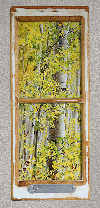 Aspen Aspens Aspen Aspens